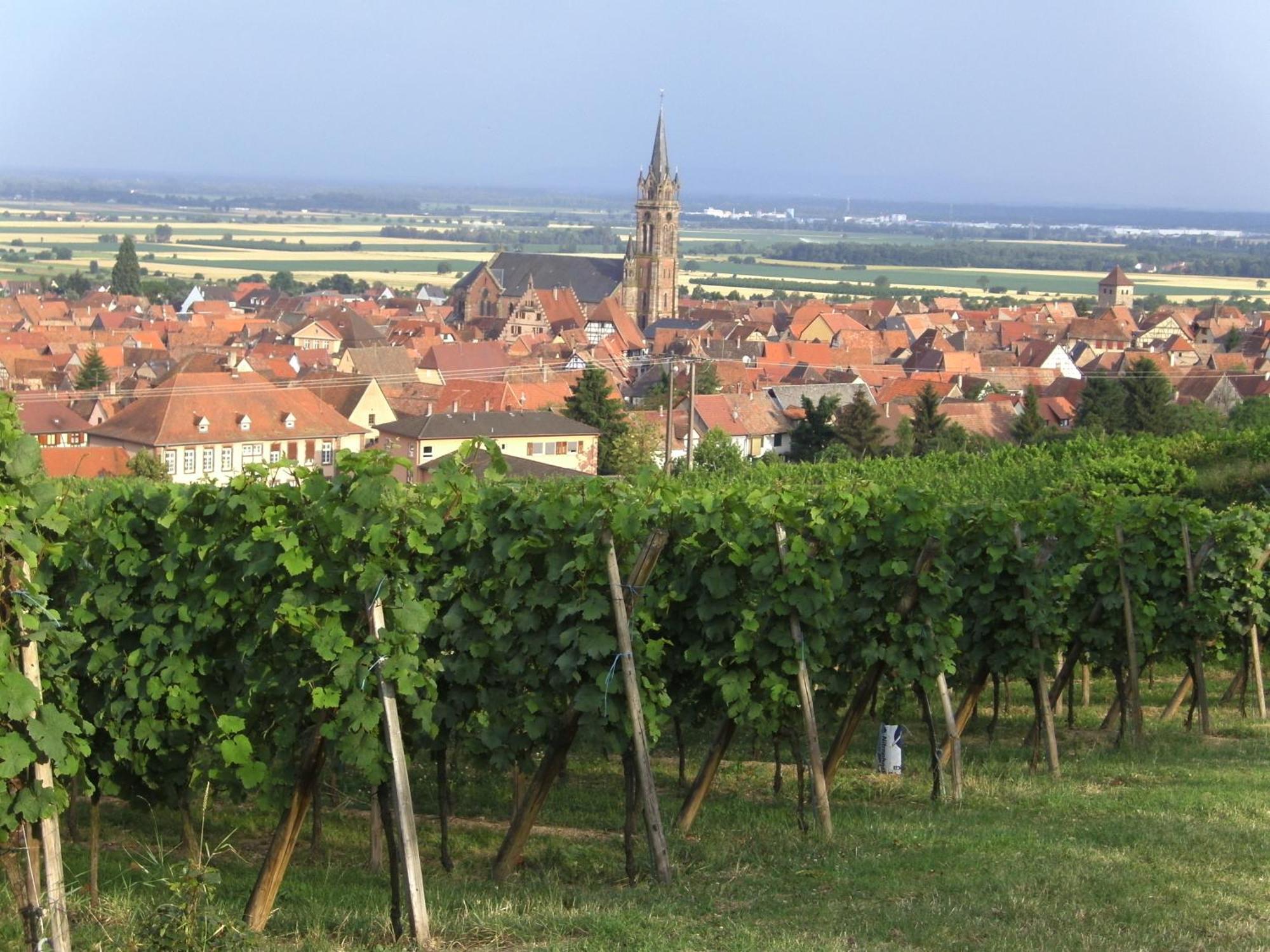 Chambres D'Hotes Arnold Dambach エクステリア 写真